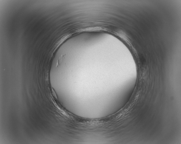 X0000052921193200507292318