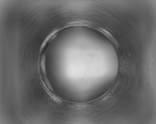 X0000052921196200507292318