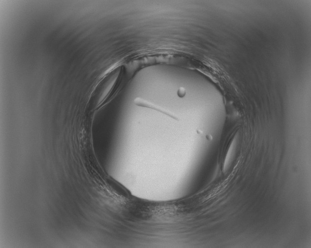 X0000052921210200507292317