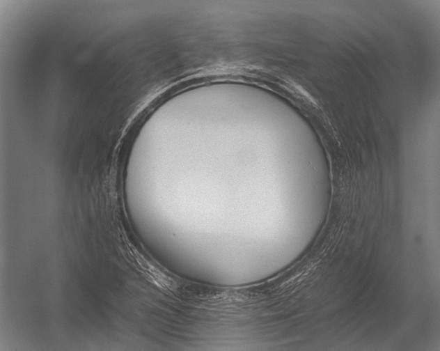 X0000052921216200507292317