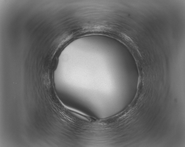 X0000052921218200507292317