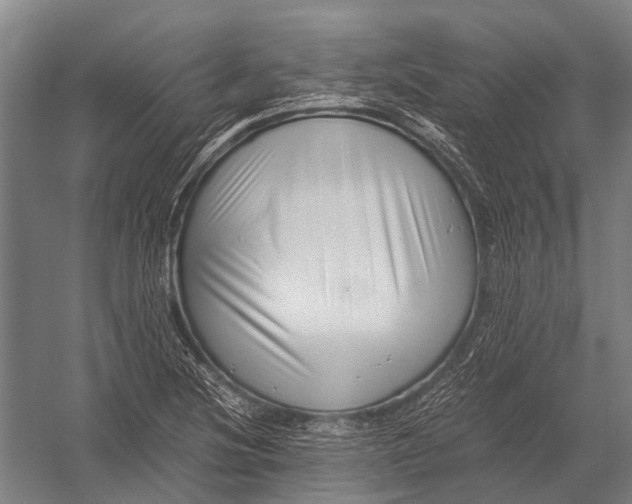 X0000052921220200507292317