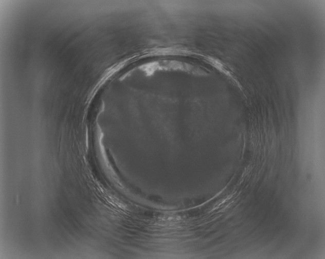 X0000052921221200507292317