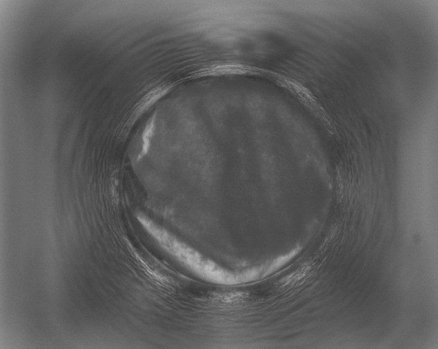 X0000052921225200507292317