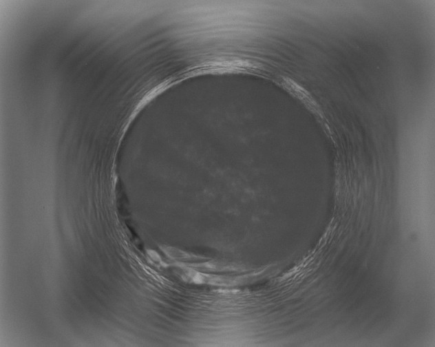 X0000052921226200507292317