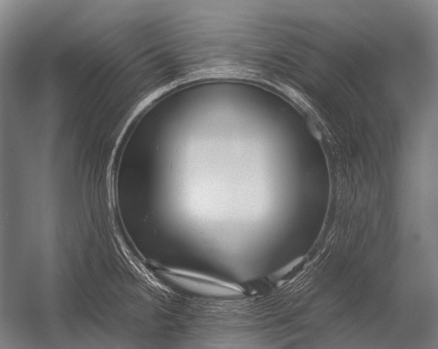 X0000052921238200507292317