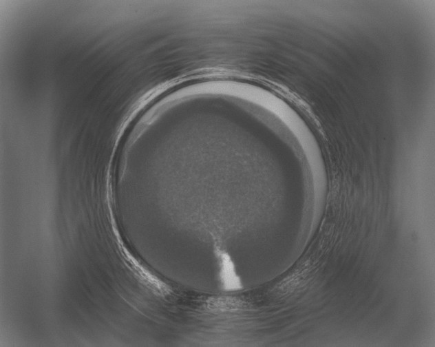 X0000052921239200507292317