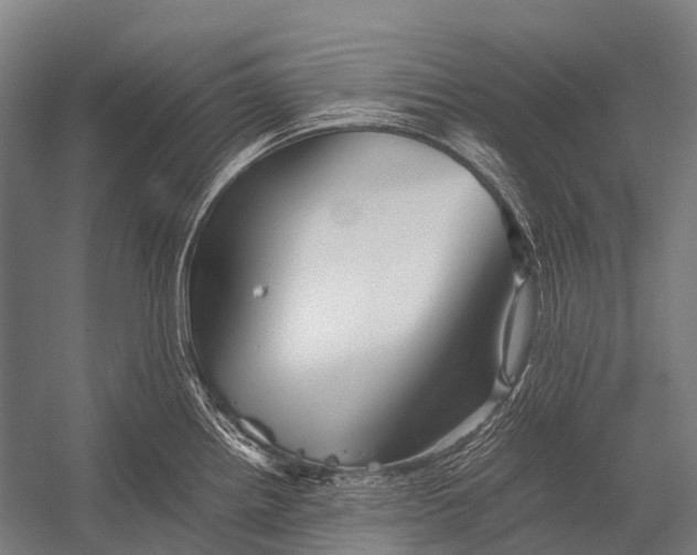 X0000052921242200507292317