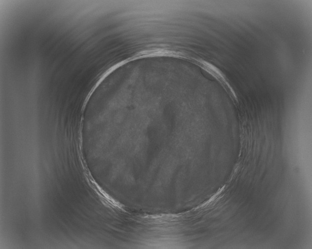 X0000052921244200507292318