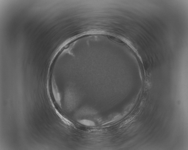 X0000052921245200507292318