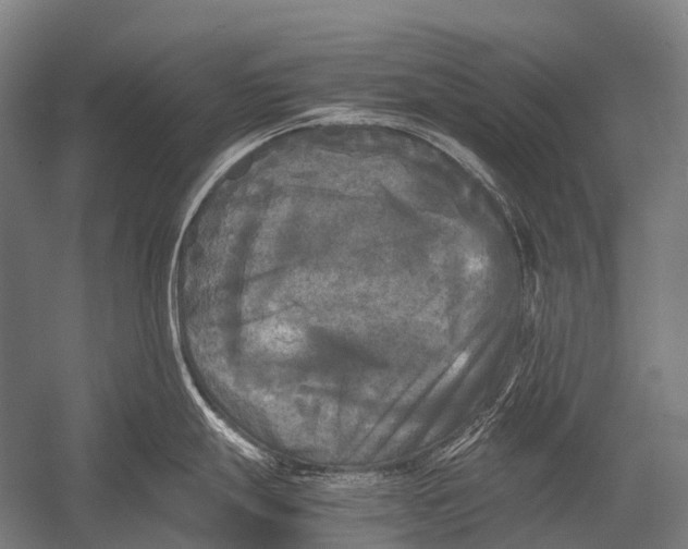 X0000052921247200507292318