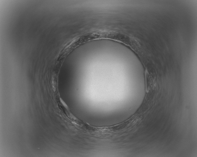 X0000052921253200507292317