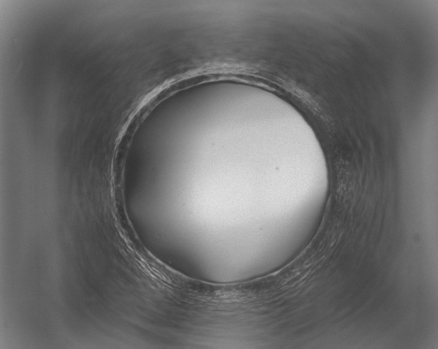 X0000052921264200507292317