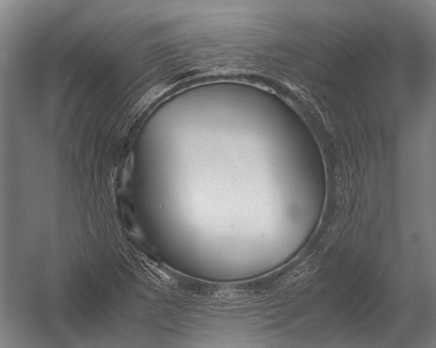 X0000052921265200507292317
