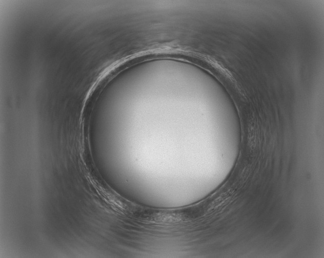 X0000052921270200507292316