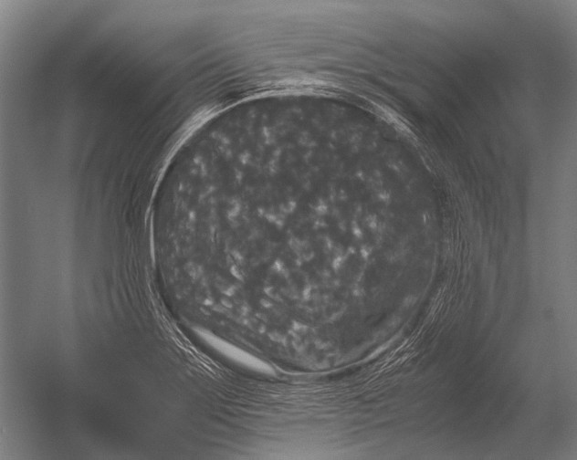 X0000052921275200507292316