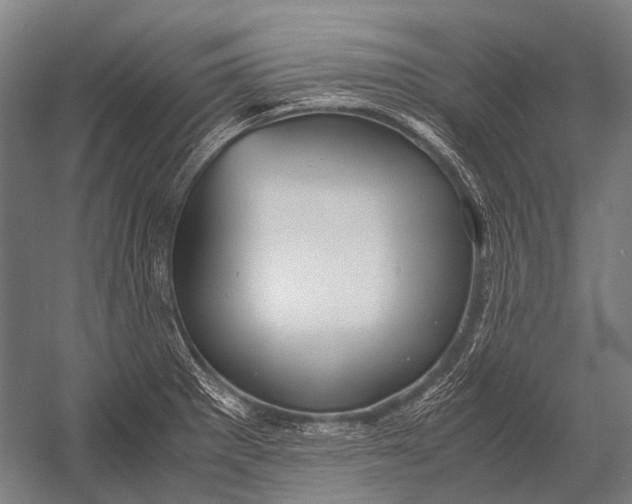 X0000052921281200507292316