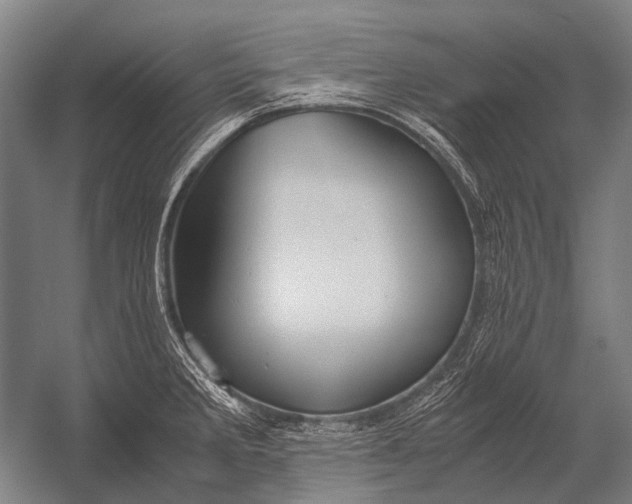 X0000052921285200507292316