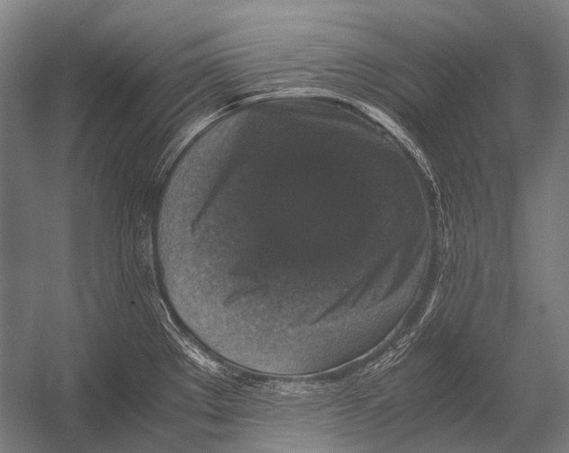 X0000052921289200507292316