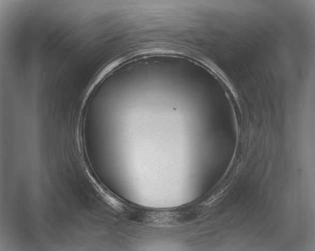 X0000052921293200507292316