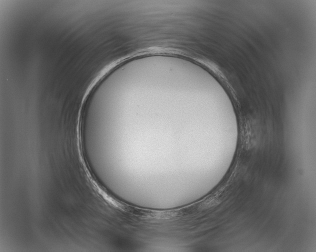 X0000052921294200507292316