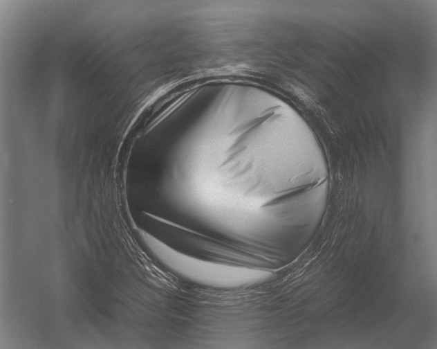X0000052921308200507292315