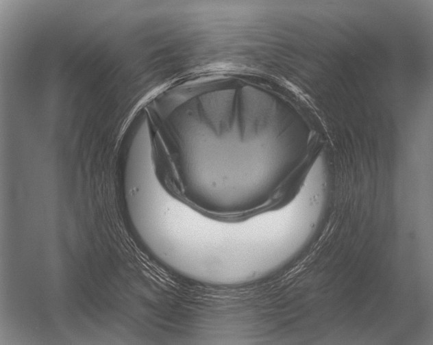 X0000052921314200507292315