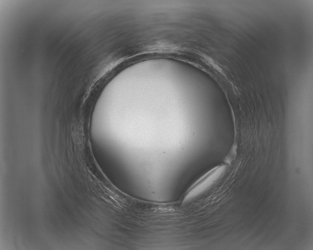 X0000052921315200507292315