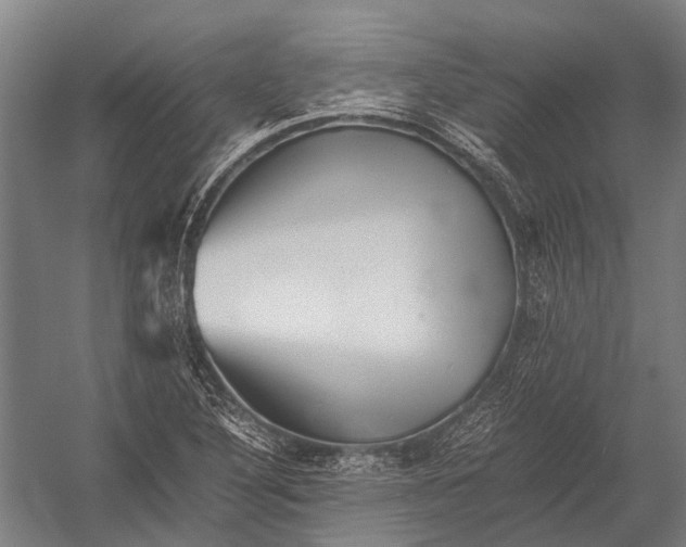 X0000052921316200507292315
