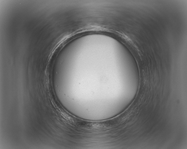 X0000052921318200507292316
