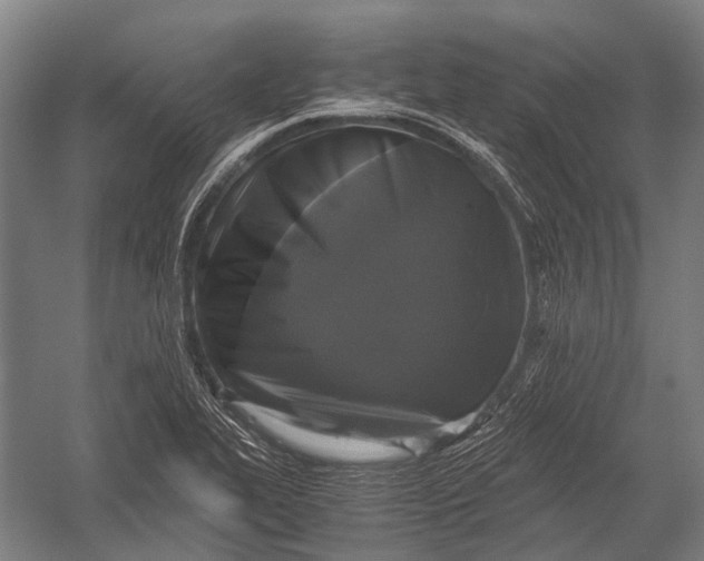 X0000052921319200507292316
