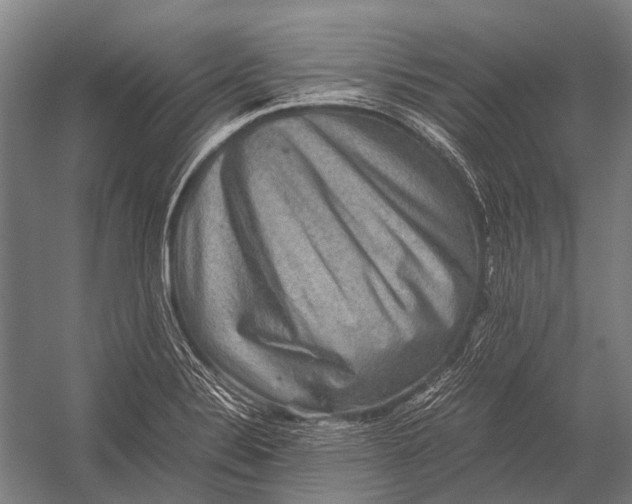 X0000052921324200507292316