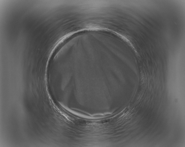 X0000052921327200507292316