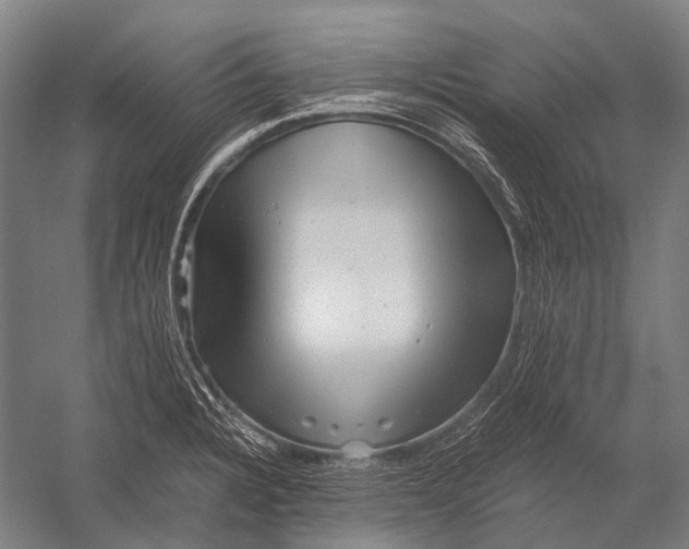 X0000052921328200507292316
