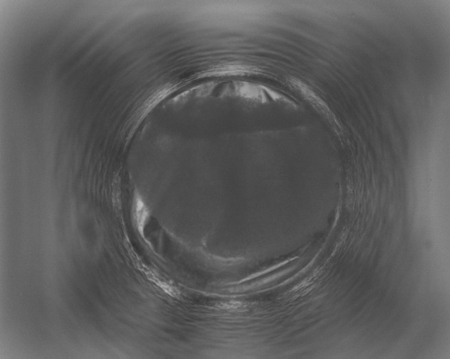 X0000052921329200507292316
