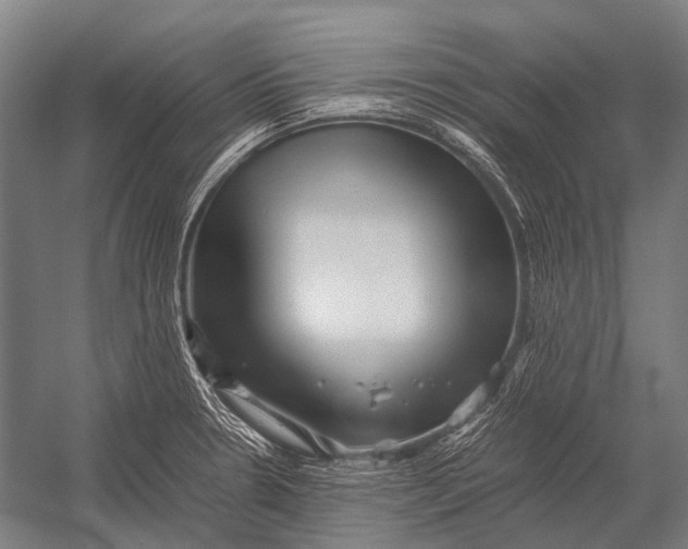 X0000052921330200507292316