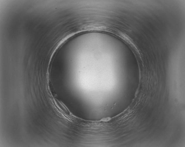 X0000052921332200507292316
