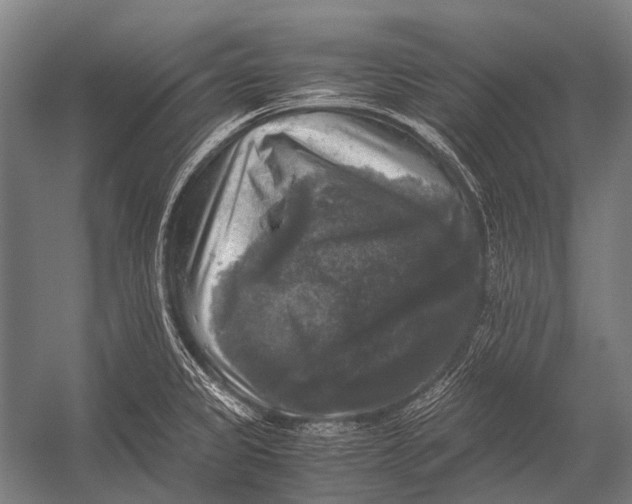 X0000052921333200507292316