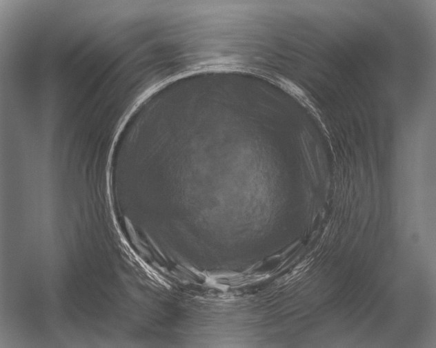X0000052921334200507292316