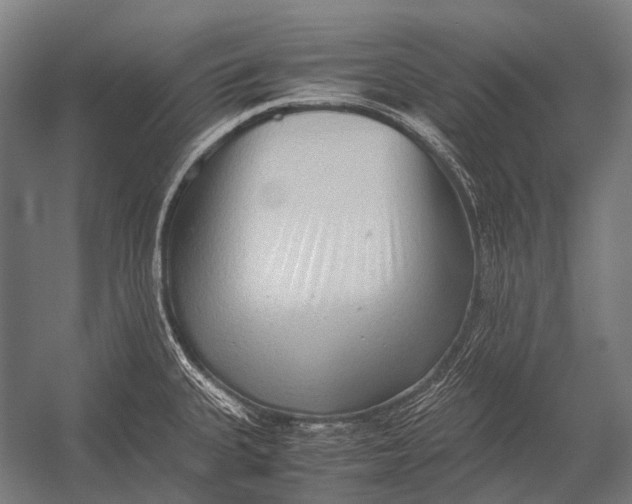 X0000052921335200507292316