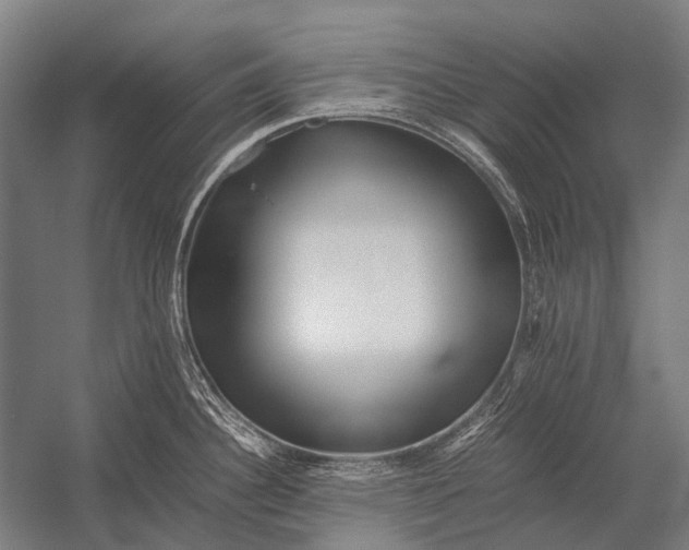 X0000052921340200507292316