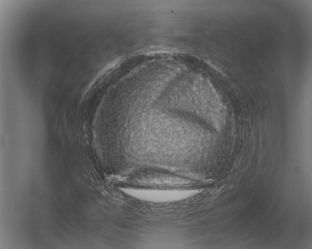 X0000052921351200507292315