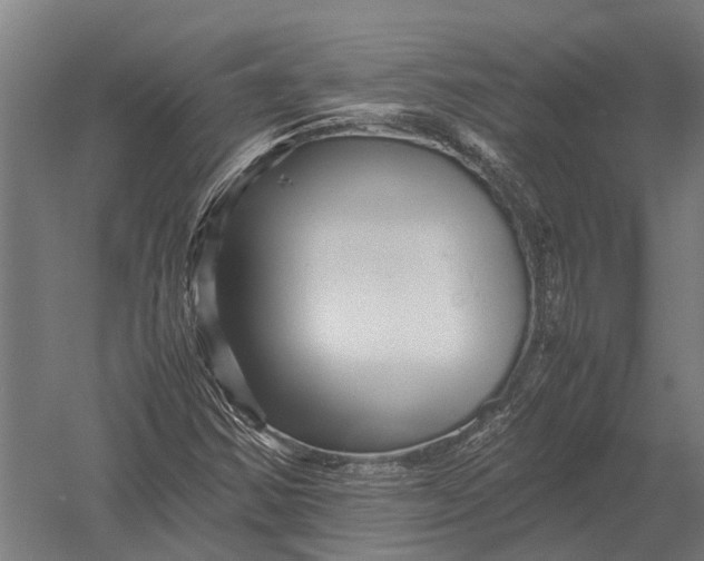 X0000052921354200507292315