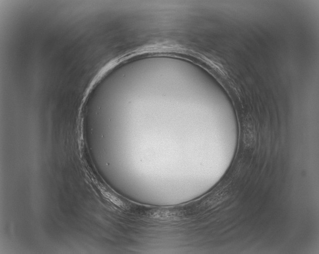 X0000052921366200507292315