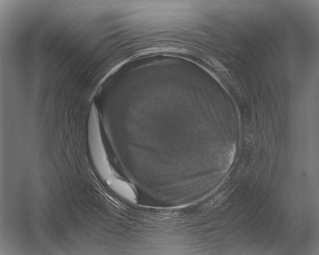 X0000052921369200507292315