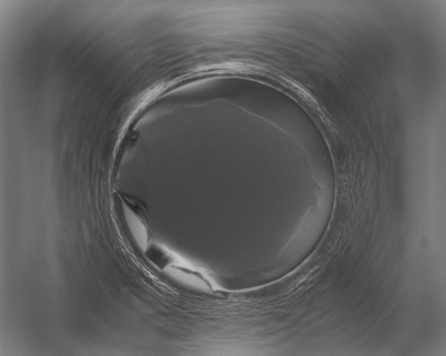 X0000052921373200507292315