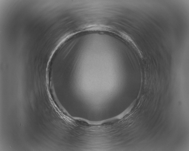 X0000052921376200507292315