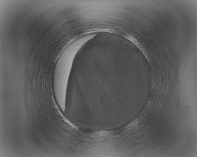 X0000052921377200507292315
