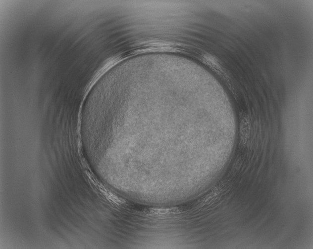 X0000052921378200507292315