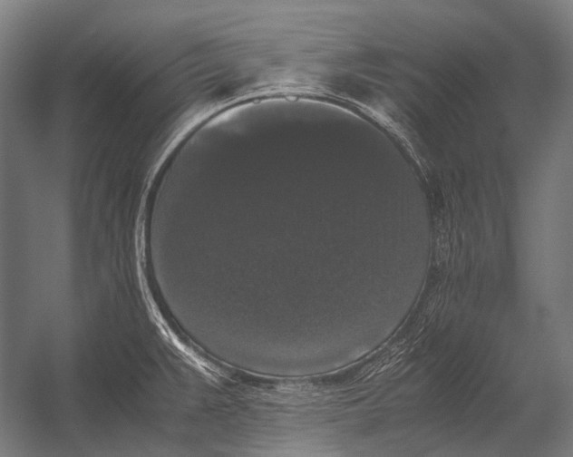 X0000052921383200507292314